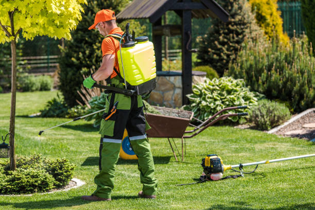 Outdoor Pest Control in Barberton, WA